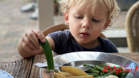 Manfaat Daging Sapi untuk MPASI dan Cara Mengolahnya