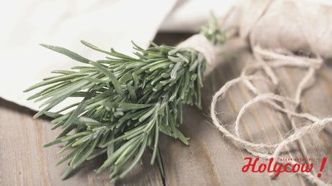 Mengungkap Manfaat Rosemary: Rahasia di Balik Steak Berkualitas