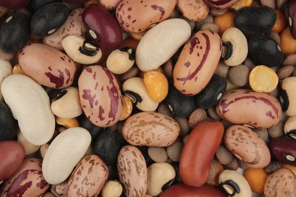 Protein Nabati Apa Saja yang Bagus untuk Tubuh? Ini Penjelasan Lengkapnya