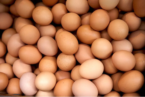 sekumpulan tumpukan telur ayam